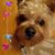 Desire Rodriguez's profile image