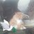 Debra Carn's profile image