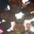 Eric Glaser's profile image