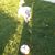Anuj Person's profile image