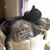 Julie Endres's profile image