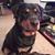 Terrie Williams's profile image