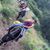 Cinthia Carreon's profile image
