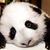 Myriam Pava's profile image