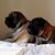 Suzi Tierney's profile image