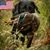 Larry Noland's profile image
