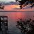 Doug Applin's profile image