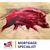 John S. Lasater's profile image