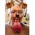 Gary Adajian's profile image