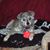 Allie Kaye Brown's profile image