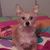 Cheryl Shovan's profile image