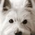 Karen Yates's profile image