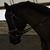 Kathy Thode's profile image