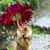 Jill Boudreau's profile image