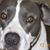 Laure Vincent's profile image