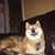 Joseph Scott Wolf's profile image