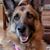 Misty Seaton's profile image