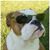 Duane Carlson's profile image