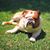 Mandy Dragland Nix's profile image