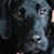 Amee Larson-Brumm's profile image
