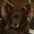 Zane Madsen's profile image
