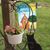 Penny Gilson VandeVoort's profile image