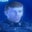 Commander Shepard's profile image