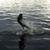 Rob Linley's profile image