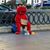 Joe Sterle's profile image