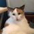 Larry Imm's profile image