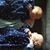 Darla Winn Golmon's profile image