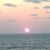 Sharon Cline's profile image