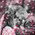 Ashley Marie Bick's profile image