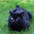 Debbie Geary's profile image
