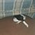 Heather Long Higinbotham's profile image