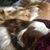 Kerri Maguire's profile image