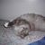 Pamela Harwood's profile image