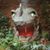 D Jay Shaver's profile image