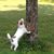 Kay Ragland's profile image