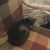Tonja Hood Metcalf's profile image