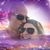 Chris Owen's profile image
