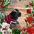 Nancy Nuzum's profile image