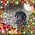 Donna Desiderio's profile image