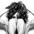 Sarah Nonya's profile image