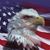 Steve Nicoletti's profile image