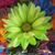 Angie Kennedy's profile image