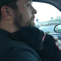 Francis Darbyshire's profile image