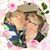 Tim Pepitone's profile image
