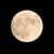 Diana Maurer Schatz's profile image