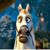 Teri Pincin Miller's profile image